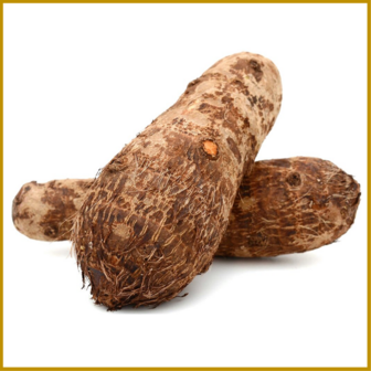 CHINESE YAM - WORTEL - GEDROOGD