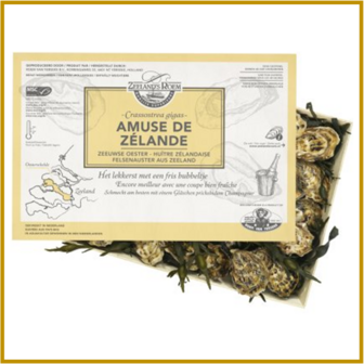OESTER - HOLLE - NL - AMUSE DE Z&Eacute;LANDE - N&deg;2