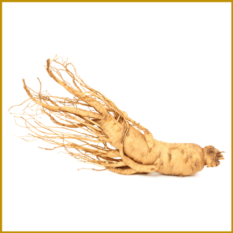 GINSENG - GEDROOGD - POEDER